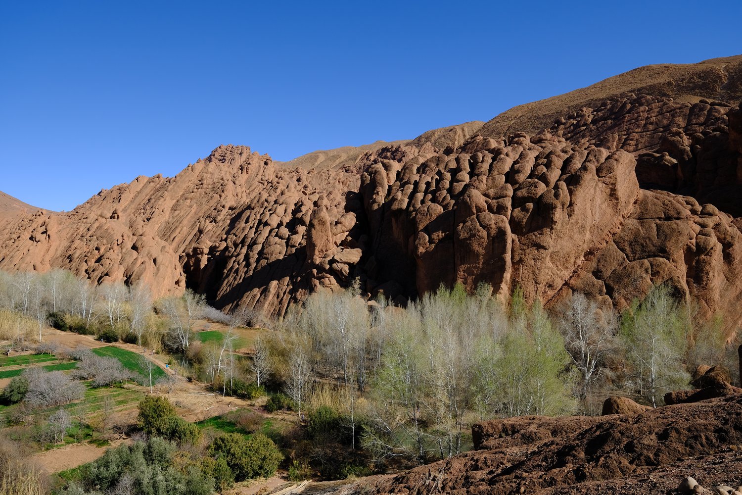 Gorges du Dadès - Maroc 2024