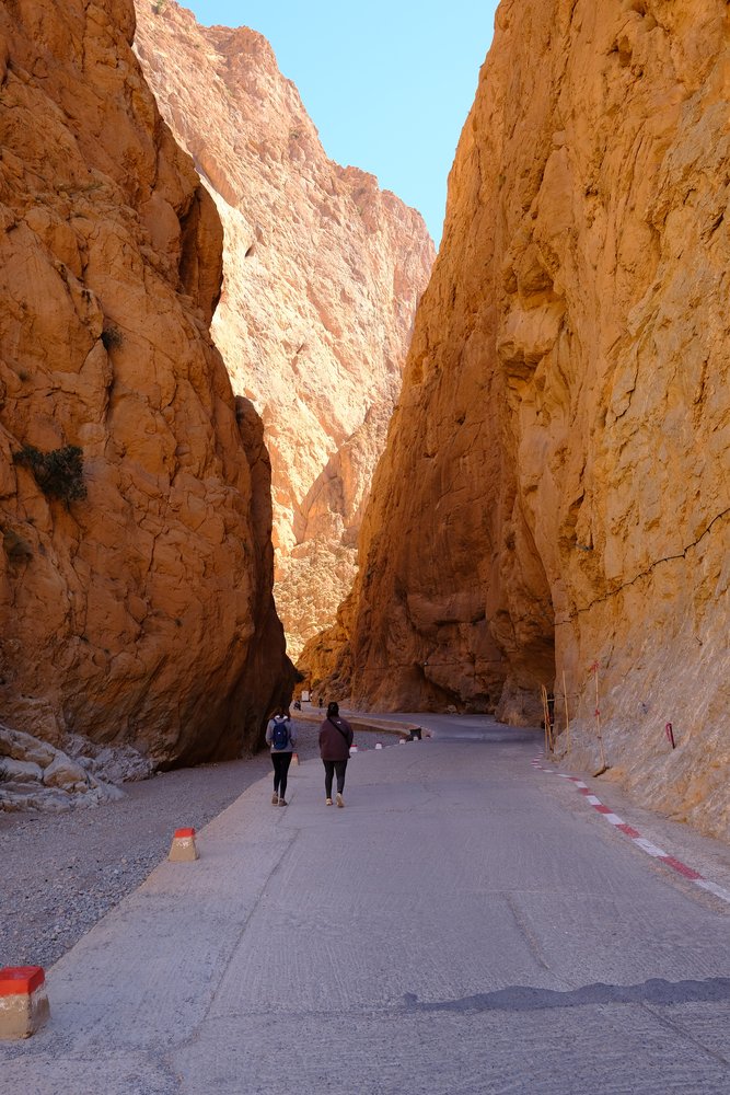 Gorges du Todgha - Maroc 2024