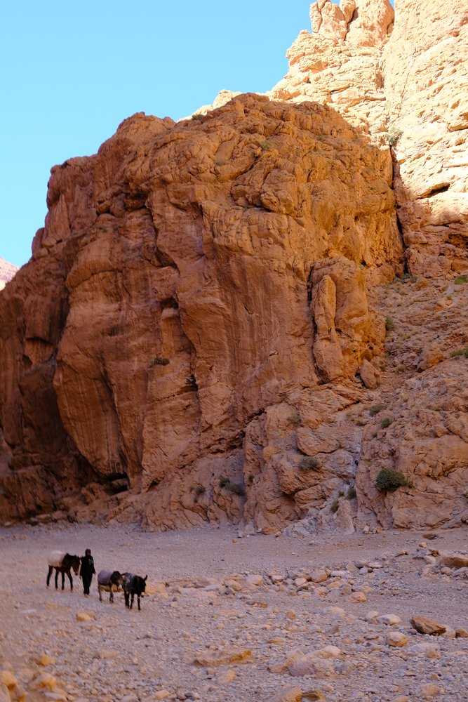 Gorges du Todgha - Maroc 2024